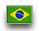 Brazil flag